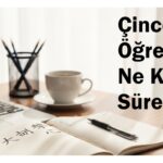 Çince öğrenme süresi ve HSK seviyelerine göre öğrenme rehberi